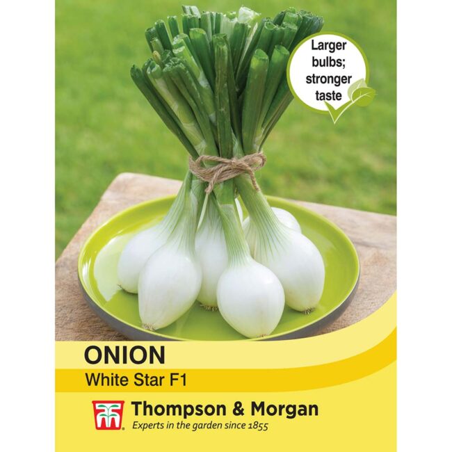THOMPSON & MORGAN - ONION WHITE STAR