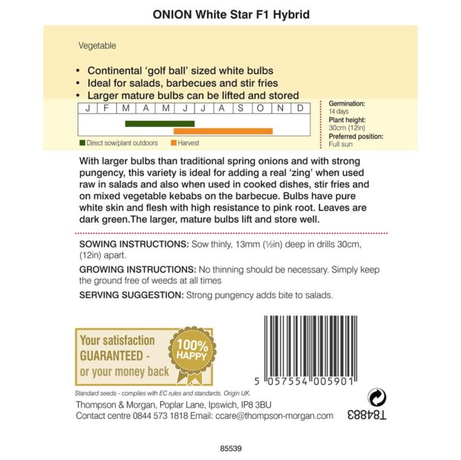 THOMPSON & MORGAN - ONION WHITE STAR - Image 2