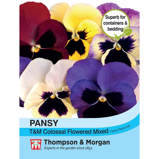 THOMPSON & MORGAN - PANSY T&M COLOSSAL FLOWERED MIXED SEEDS