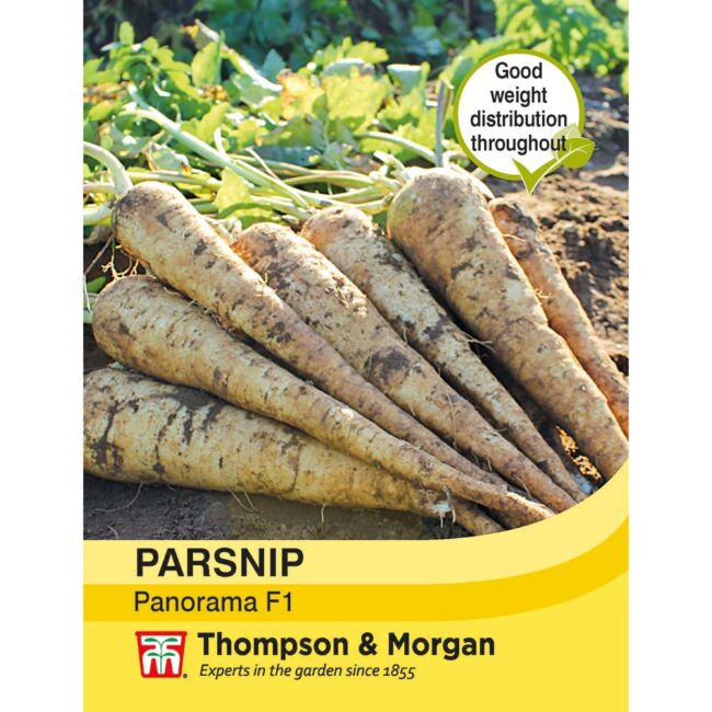 THOMPSON & MORGAN - PARSNIP PANORAMA F1 HYBRID