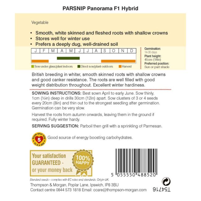 THOMPSON & MORGAN - PARSNIP PANORAMA F1 HYBRID - Image 2