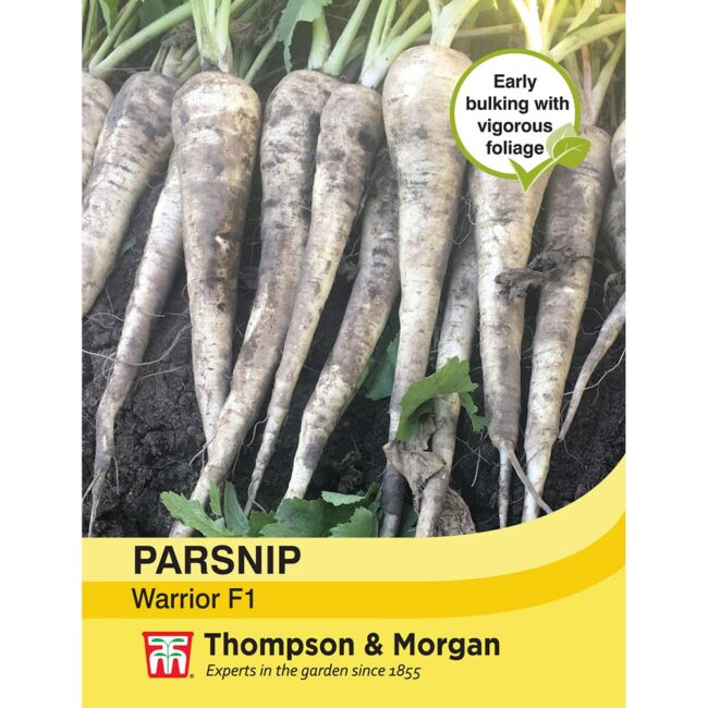 THOMPSON & MORGAN - PARSNIP WARRIOR F1 HYBRID SEEDS