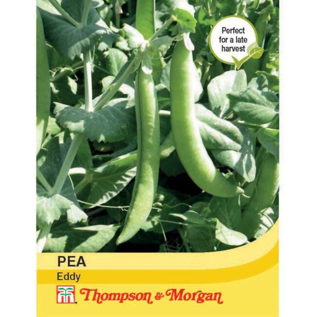 THOMPSON & MORGAN - PEA EDDY SEEDS