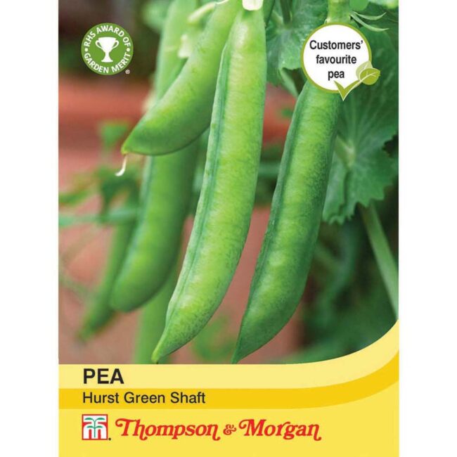 THOMPSON & MORGAN - PEA HURST GREEN SHAFT SEEDS