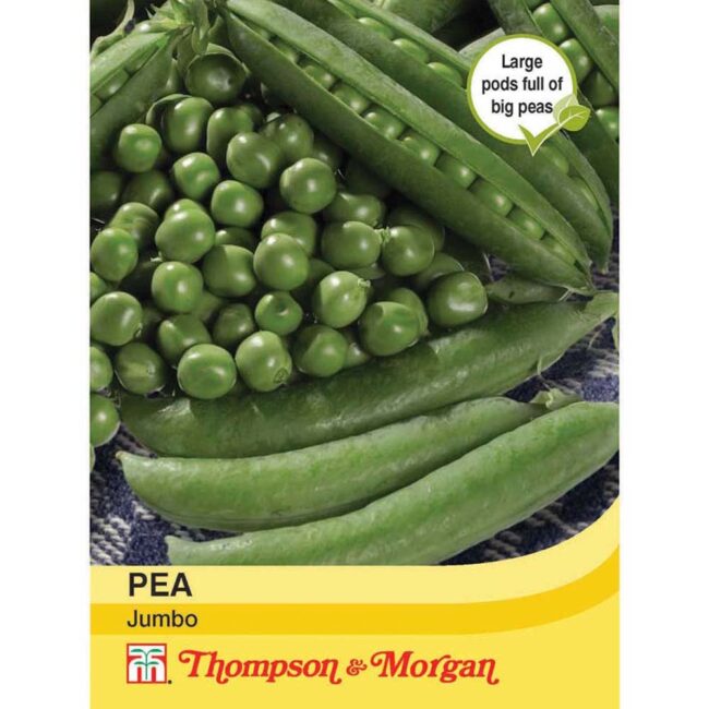 THOMPSON & MORGAN - PEA JUMBO SEEDS