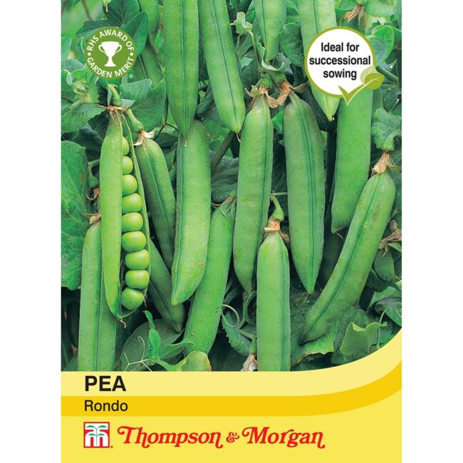 THOMPSON & MORGAN - PEA RONDO SEEDS