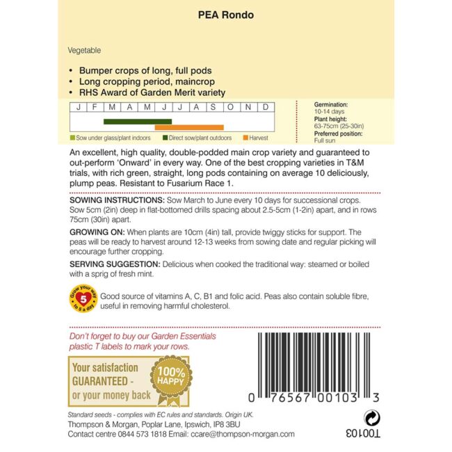THOMPSON & MORGAN - PEA RONDO SEEDS - Image 2