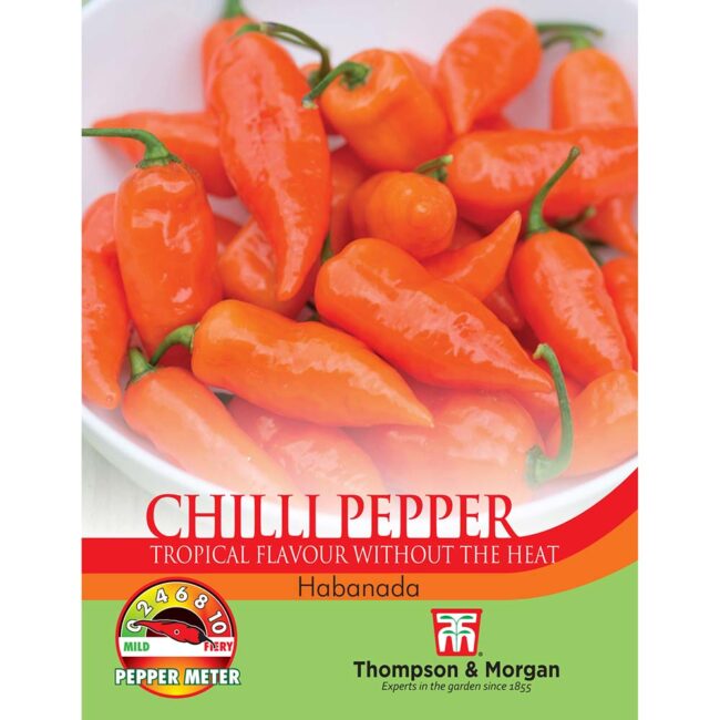 THOMPSON & MORGAN - PEPPER CHILLI HABANADA SEEDS