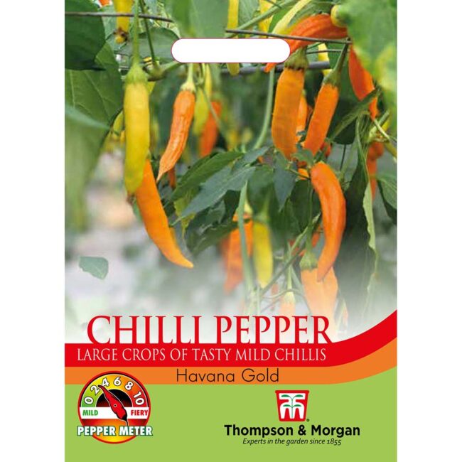 THOMPSON & MORGAN - PEPPER CHILLI HAVANA GOLD SEEDS