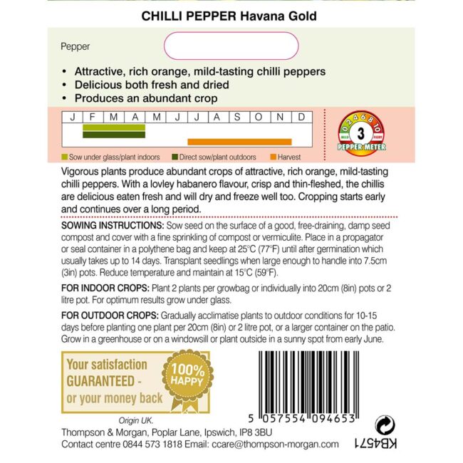 THOMPSON & MORGAN - PEPPER CHILLI HAVANA GOLD SEEDS - Image 2