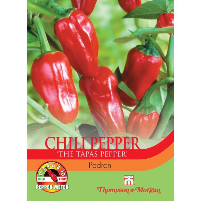 THOMPSON & MORGAN - PEPPER CHILLI PADRON SEEDS