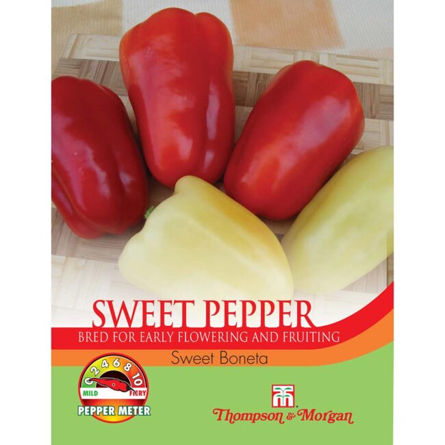 THOMPSON & MORGAN - PEPPER SWEET BONETA SEEDS
