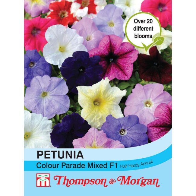 THOMPSON & MORGAN - PETUNIA COLOUR PARADE MIXED F1 HYBRID SEEDS