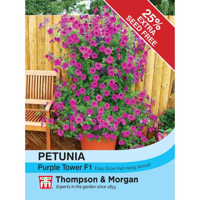 THOMPSON & MORGAN - PETUNIA PURPLE TOWER F1 HYBRID SEEDS