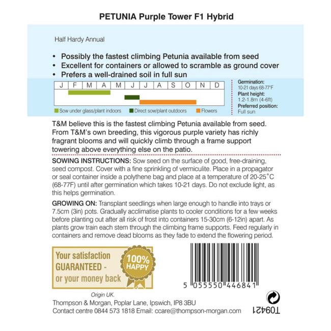 THOMPSON & MORGAN - PETUNIA PURPLE TOWER F1 HYBRID SEEDS - Image 2