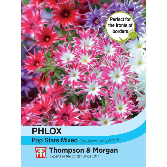 THOMPSON & MORGAN - PHLOX POPSTARS SEEDS