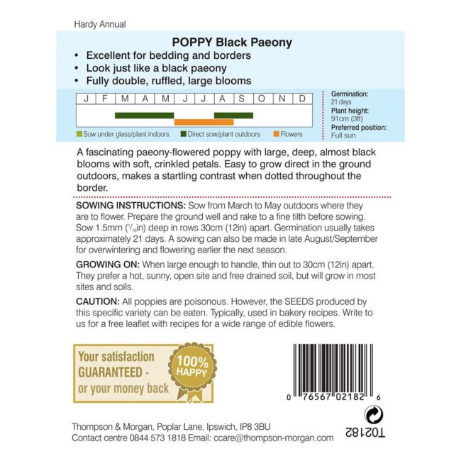 Thompson & Morgan - Poppy Black Paeony Seeds - Image 2