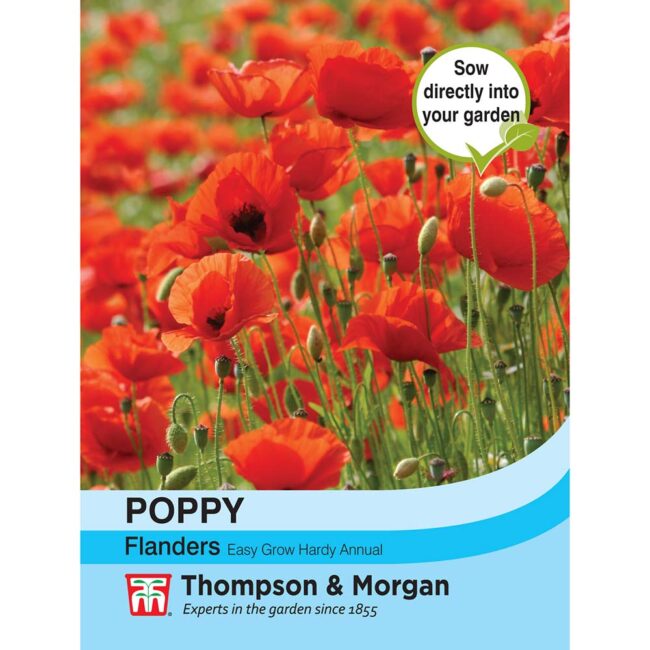 THOMPSON & MORGAN - POPPY FLANDERS SEEDS