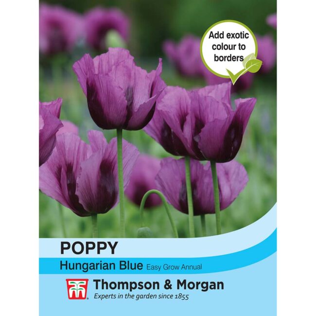 THOMPSON & MORGAN - POPPY HUNGARIAN BLUE SEEDS