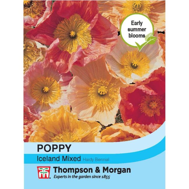 THOMPSON & MORGAN - POPPY ICELAND MIXED SEEDS