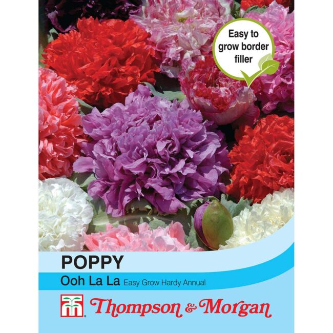 THOMPSON & MORGAN - POPPY OOH LA LA SEEDS
