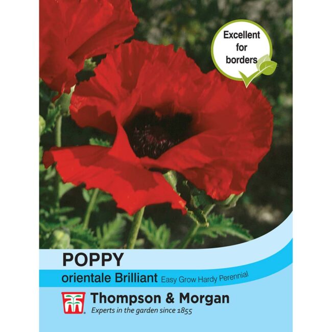 THOMPSON & MORGAN - POPPY ORIENTALE BRILLIANT SEEDS