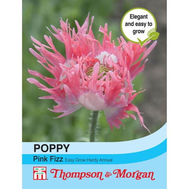 THOMPSON & MORGAN - POPPY PINK FIZZ SEEDS