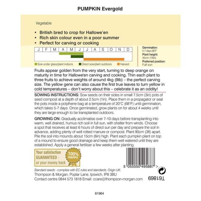 THOMPSON & MORGAN - PUMPKIN EVERGOLD - Image 2