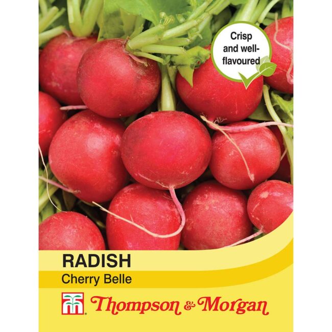 THOMPSON & MORGAN - RADISH CHERRY BELLE SEEDS