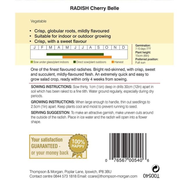 THOMPSON & MORGAN - RADISH CHERRY BELLE SEEDS - Image 2