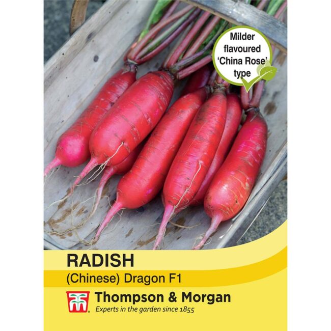 THOMPSON & MORGAN - RADISH CHINESE DRAGON F1 HYBRID