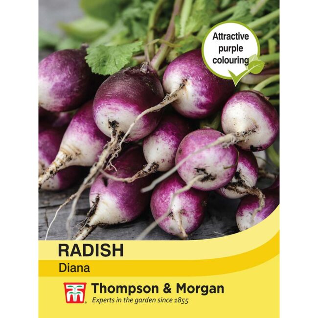 THOMPSON & MORGAN - RADISH DIANA SEEDS
