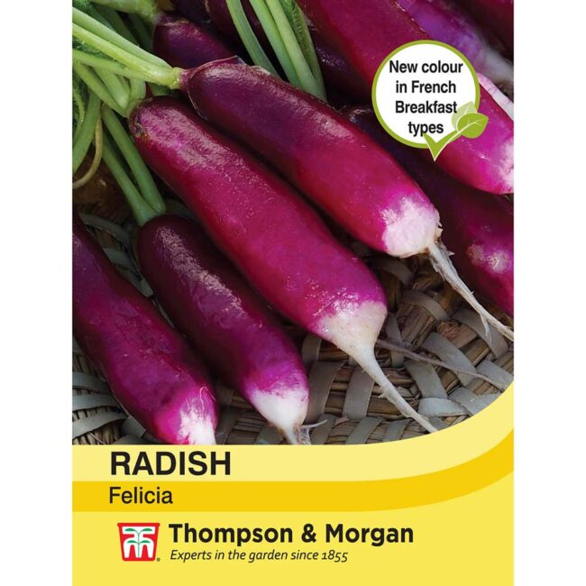 THOMPSON & MORGAN - RADISH FELICIA SEEDS