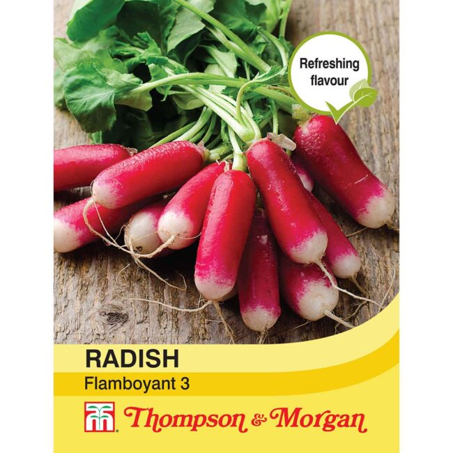 THOMPSON & MORGAN - RADISH FLAMBOYANT 3 SEEDS
