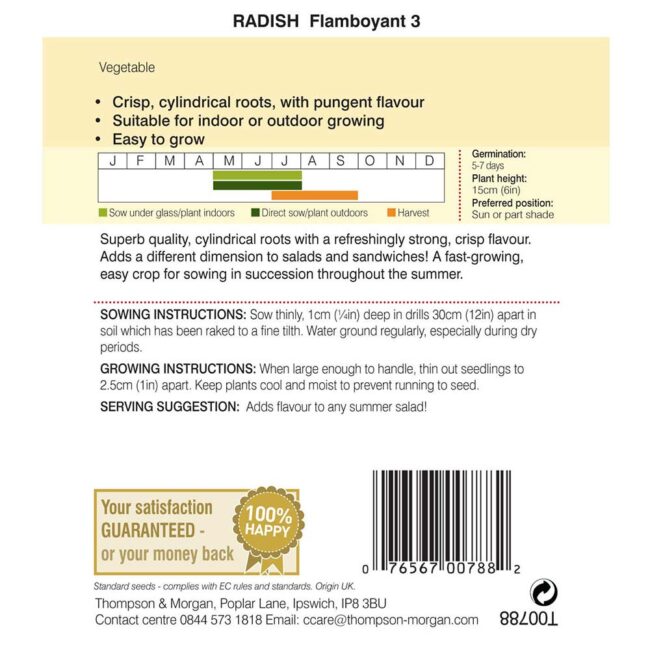 THOMPSON & MORGAN - RADISH FLAMBOYANT 3 SEEDS - Image 2