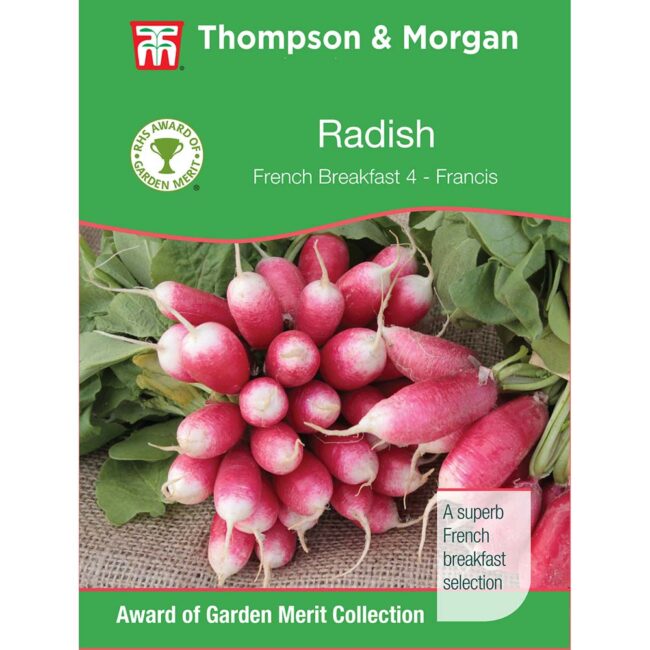 THOMPSON & MORGAN - RADISH FRENCH BREAKFAST 4 FRANCIS