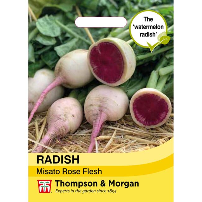 THOMPSON & MORGAN - RADISH MISATO ROSE FLESH SEEDS
