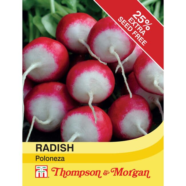 THOMPSON & MORGAN - RADISH POLONEZA