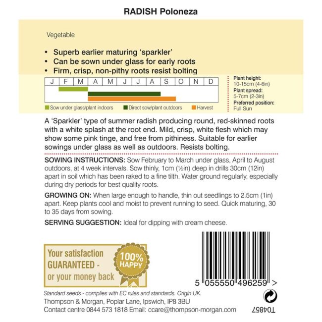 THOMPSON & MORGAN - RADISH POLONEZA - Image 2
