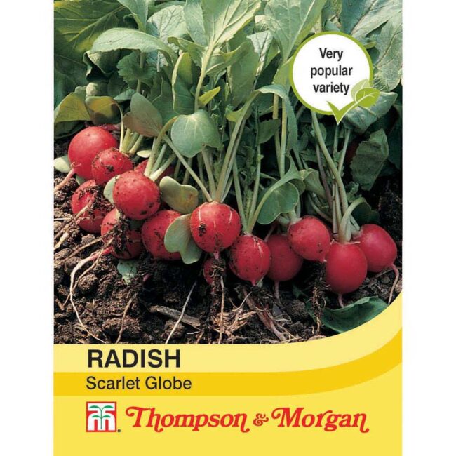 THOMPSON & MORGAN - RADISH SCARLET GLOBE SEEDS