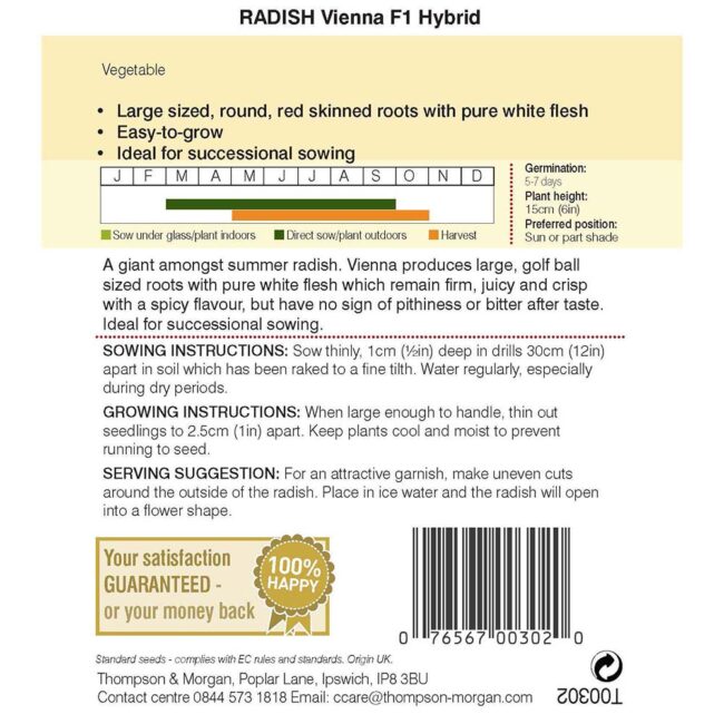 THOMPSON & MORGAN - RADISH VIENNA F1 HYBRID SEEDS - Image 2