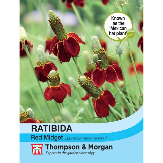 THOMPSON & MORGAN - RATIBIDA RED MIDGET