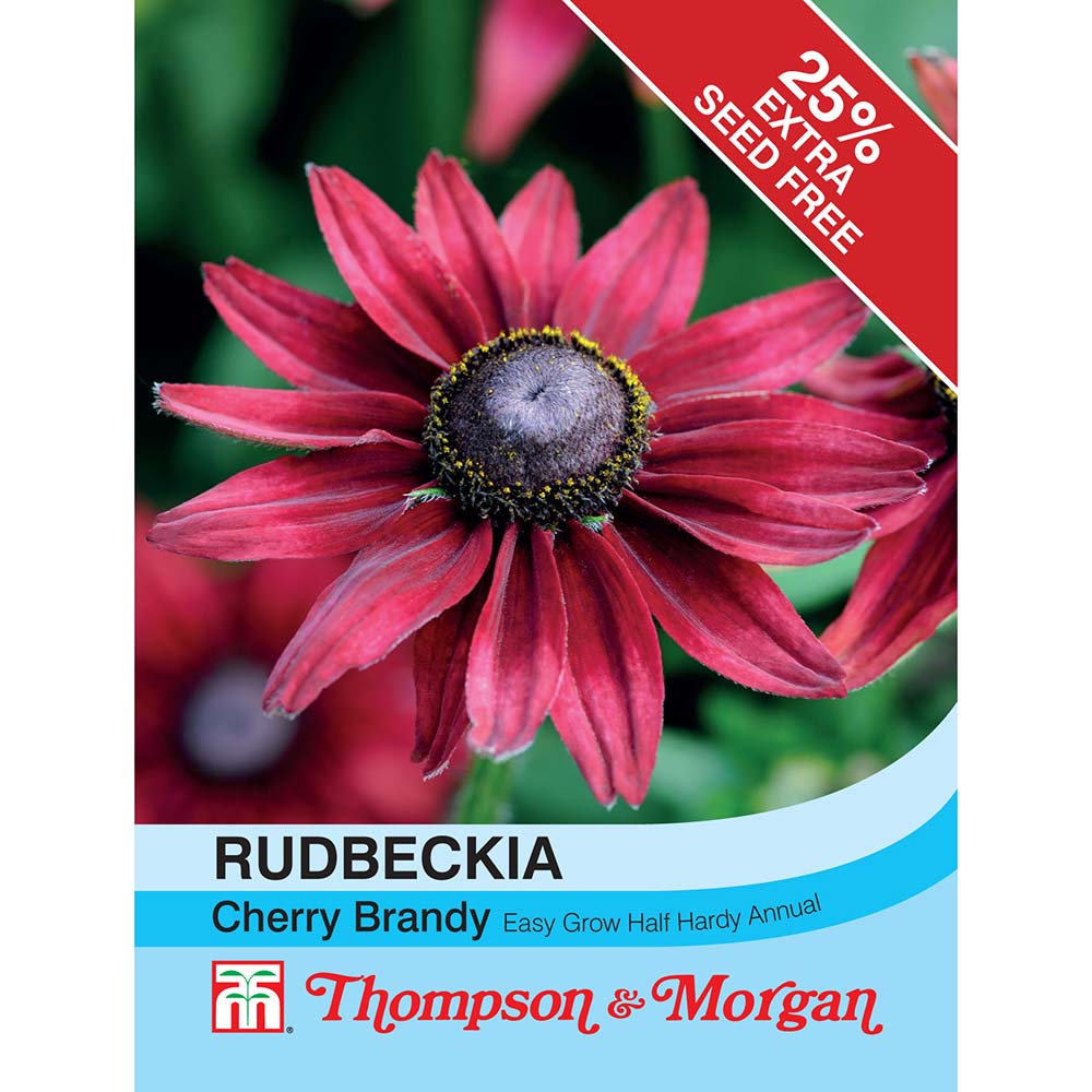 THOMPSON & MORGAN - RUDBECKIA CHERRY BRANDY SEEDS