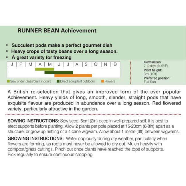 THOMPSON & MORGAN - RUNNER BEAN ACHIEVEMENT - Image 2
