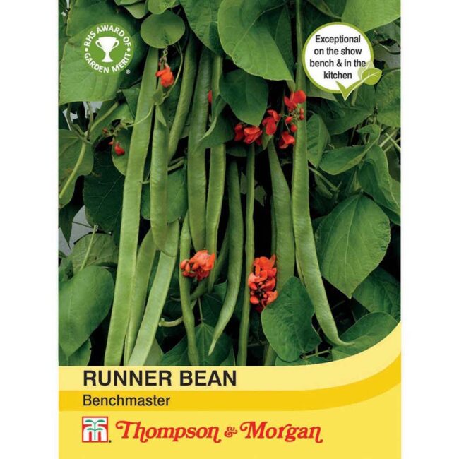 THOMPSON & MORGAN - RUNNER BEAN BENCHMASTER SEEDS
