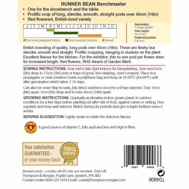 THOMPSON & MORGAN - RUNNER BEAN BENCHMASTER SEEDS - Image 2