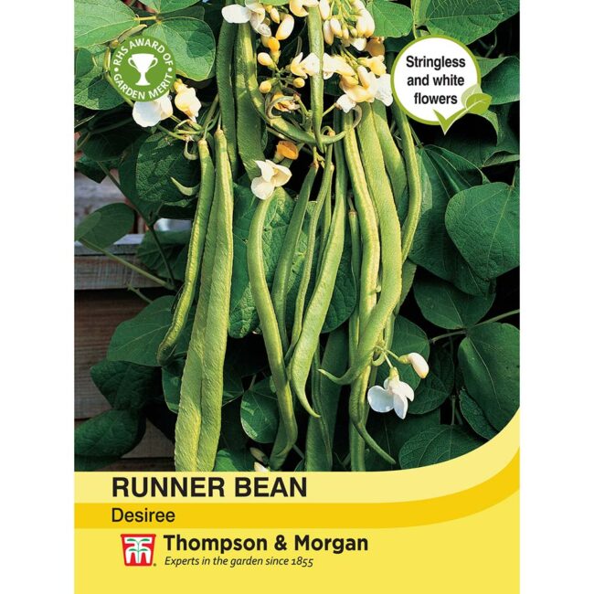 THOMPSON & MORGAN - RUNNER BEAN DESIREE SEEDS
