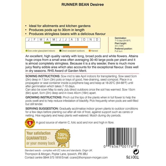 THOMPSON & MORGAN - RUNNER BEAN DESIREE SEEDS - Image 2