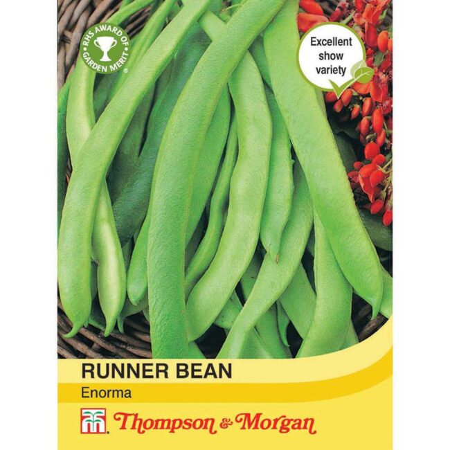 THOMPSON & MORGAN - RUNNER BEAN ENORMA SEEDS