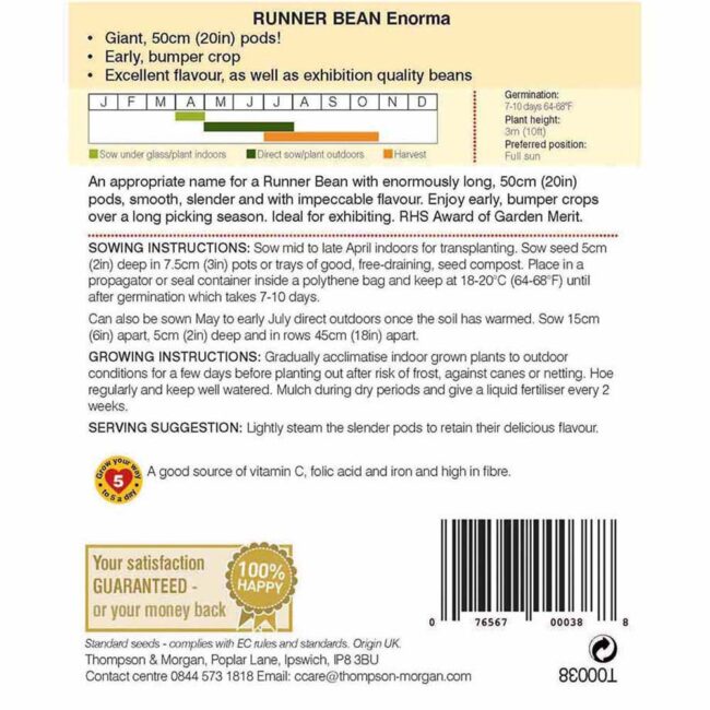 THOMPSON & MORGAN - RUNNER BEAN ENORMA SEEDS - Image 2